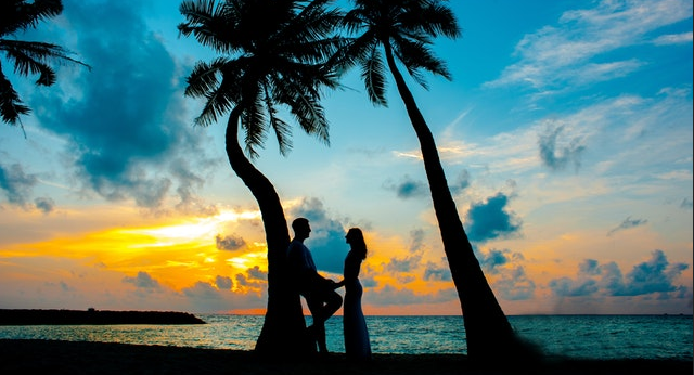 A couple standing by a palm tree at sunset by the beach