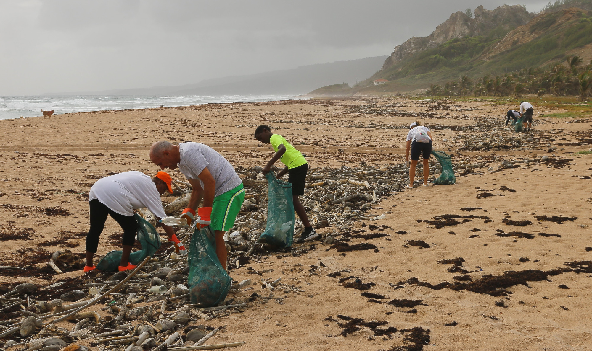 Volunteers collecting trash on the beach