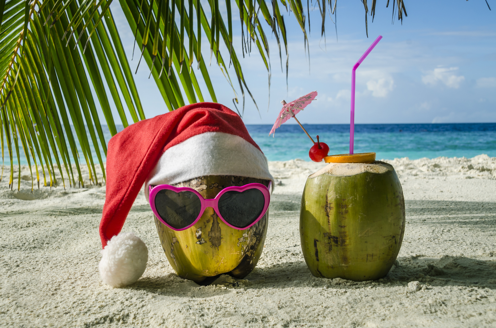Two Christmas coconuts