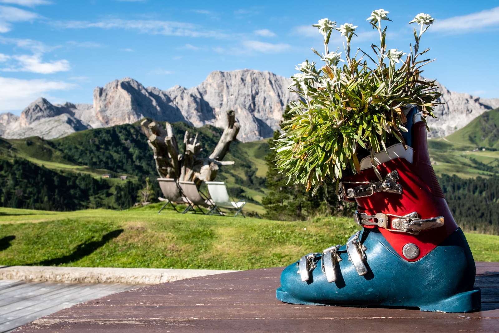 Ski boot with flowers in it on outdoor bench